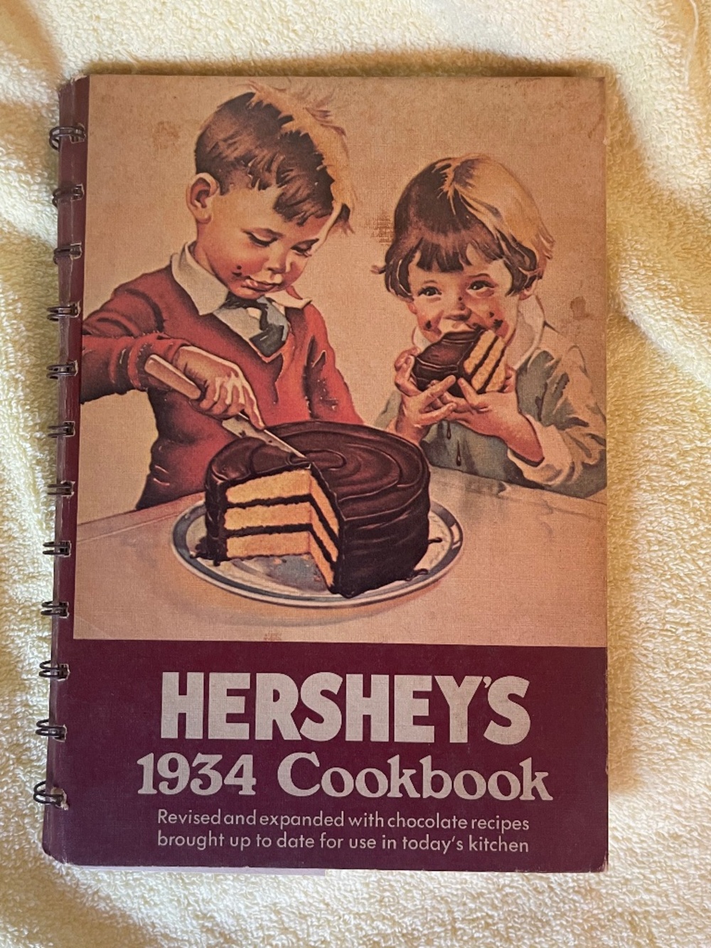 Vintage 1934 Hershey's Cookbook